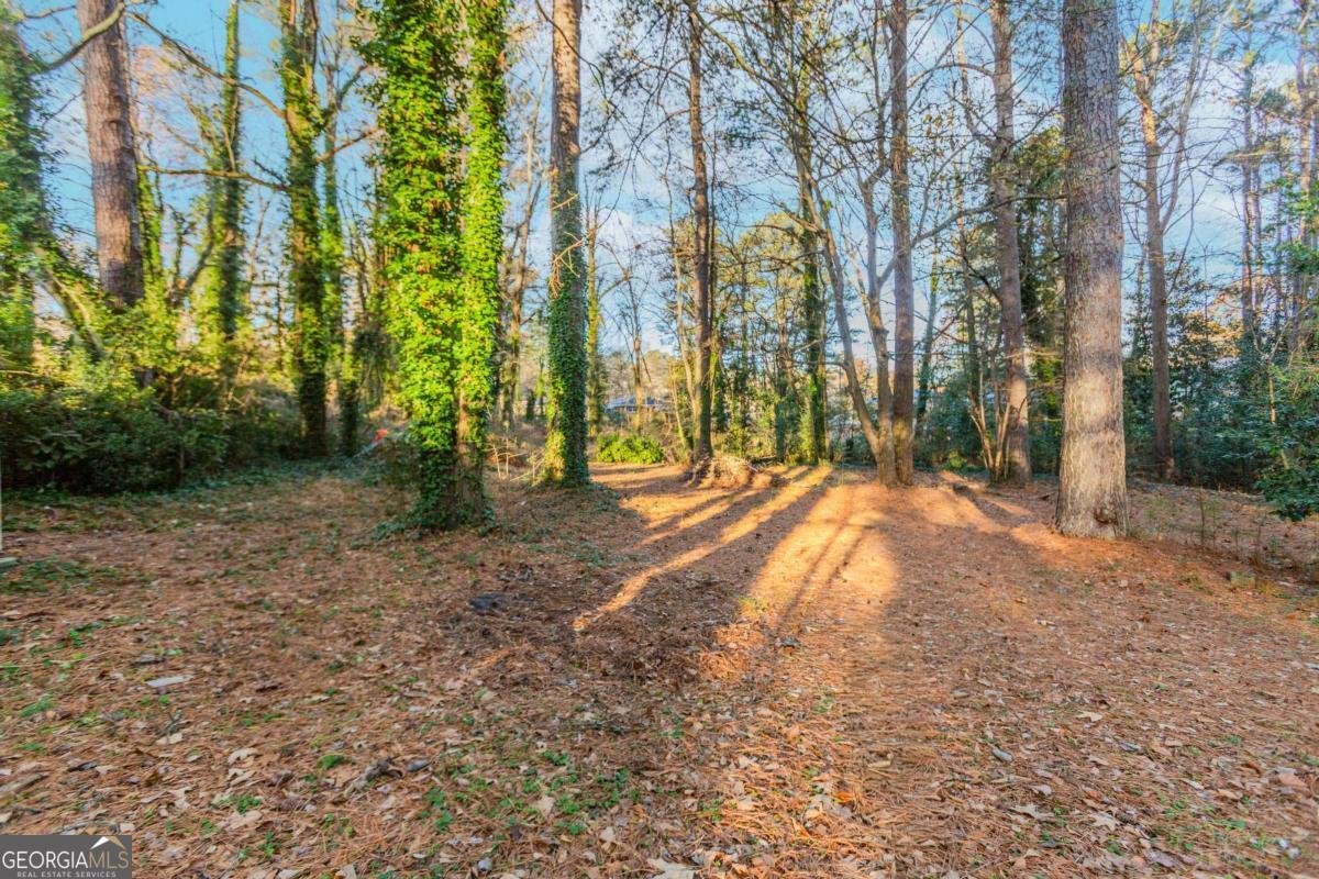 2605 Irene Drive Marietta - Photo 37