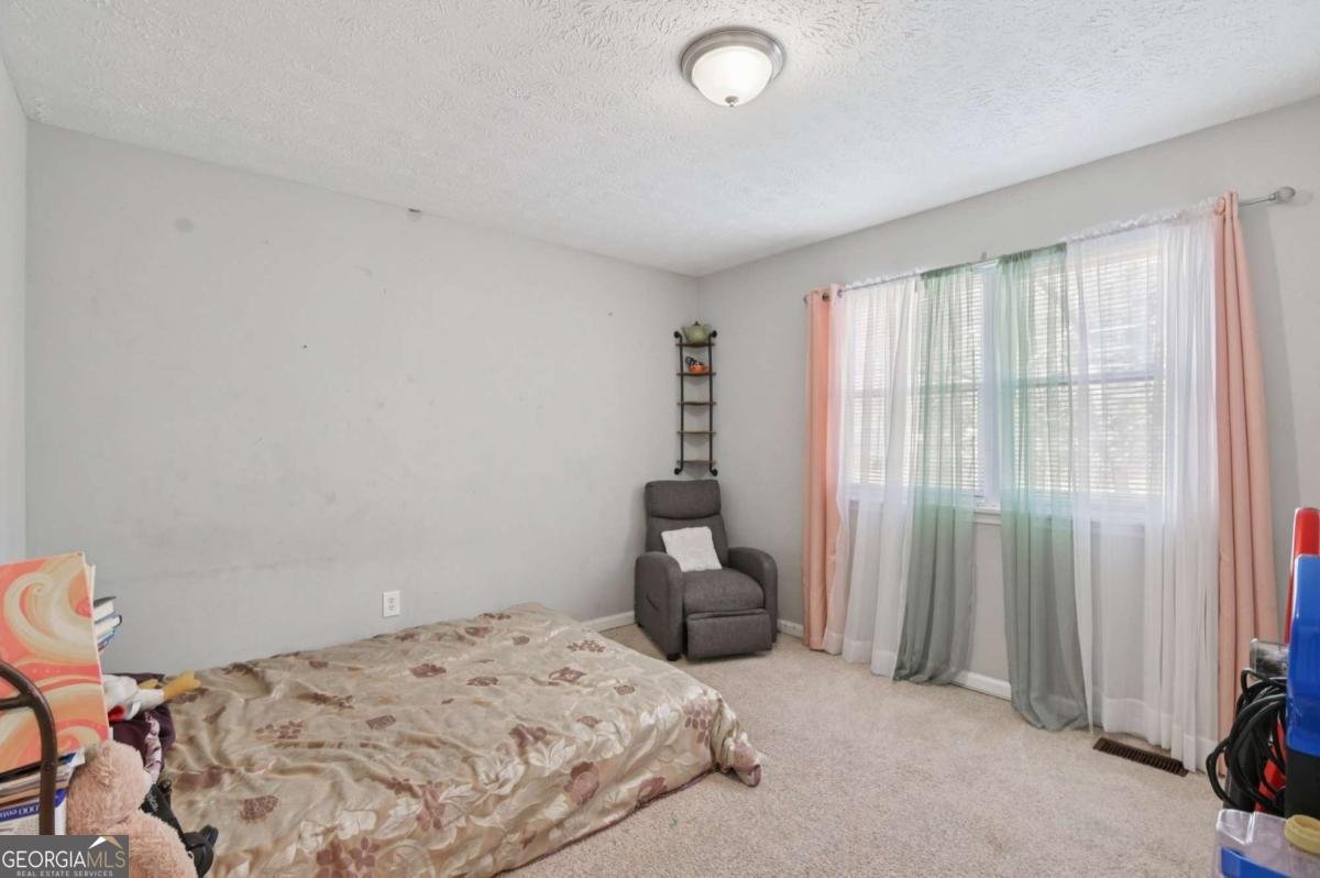 4081 Willow Ridge Road Douglasville - Photo 16