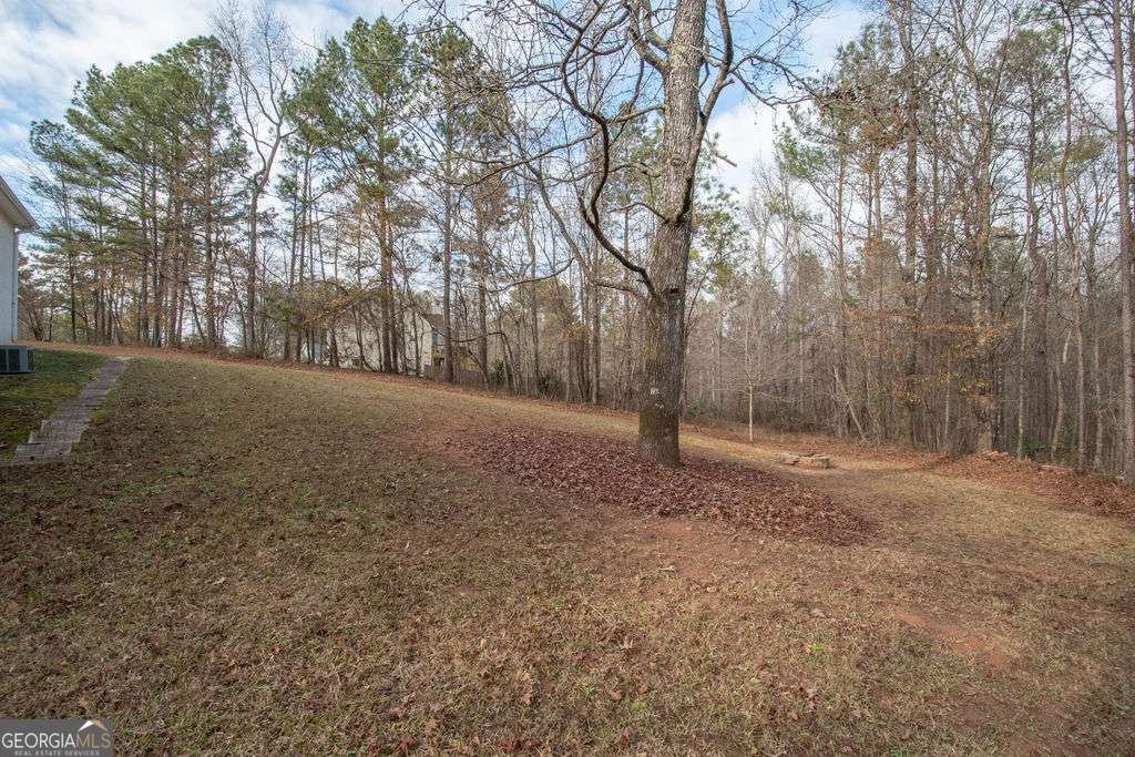 75 BRETTS Bend Sharpsburg - Photo 31