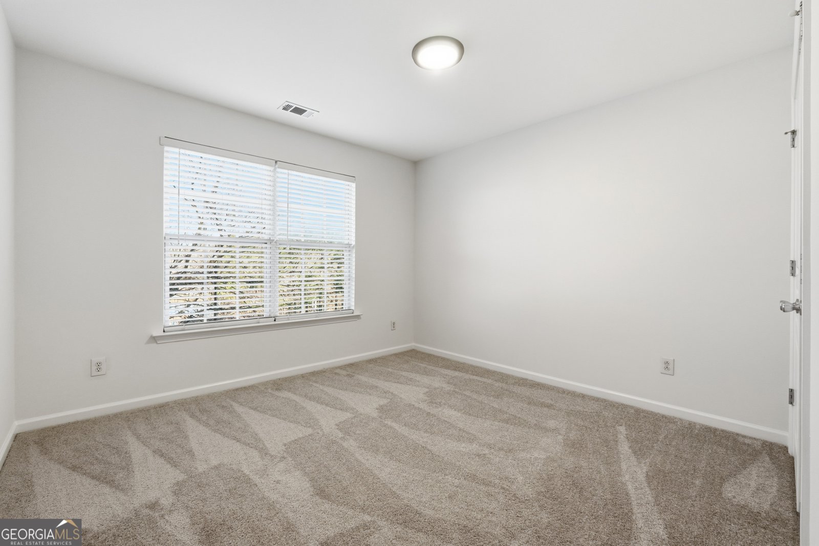 107 Hidden Lake Circle Canton - Photo 18