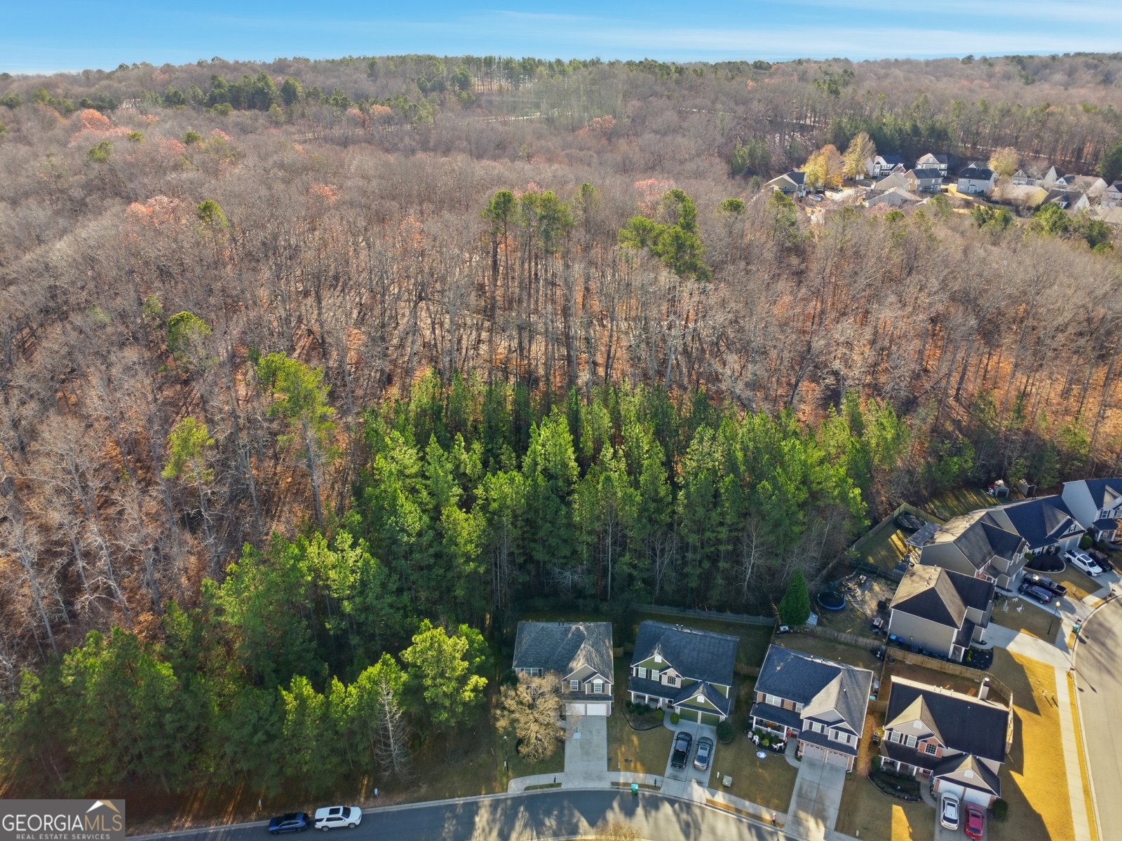 107 Hidden Lake Circle Canton - Photo 28