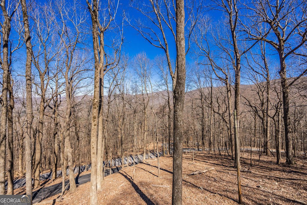 1006 Chestnut Cove Trail Jasper - Photo 29