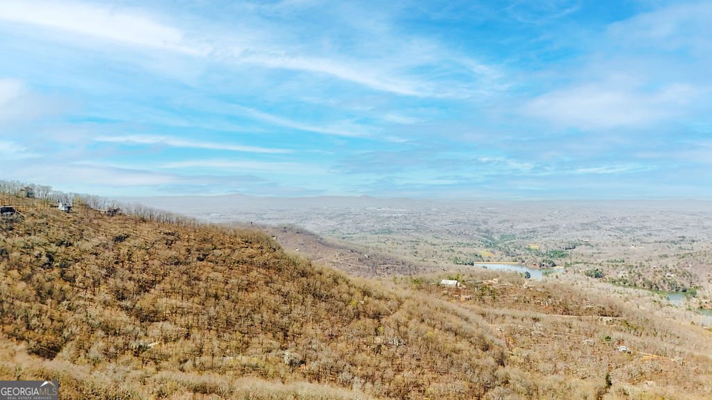 1006 Chestnut Cove Trail Jasper - Photo 30