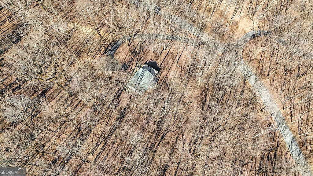 1006 Chestnut Cove Trail Jasper - Photo 32