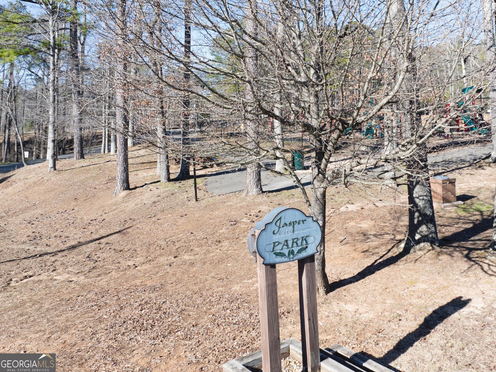 214 Deerberry Drive Jasper - Photo 47