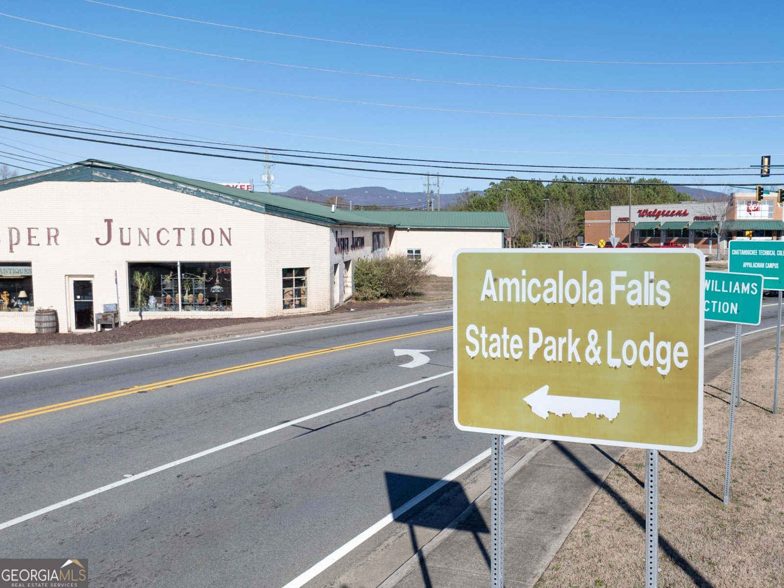 224 Deerberry Drive Jasper - Photo 48