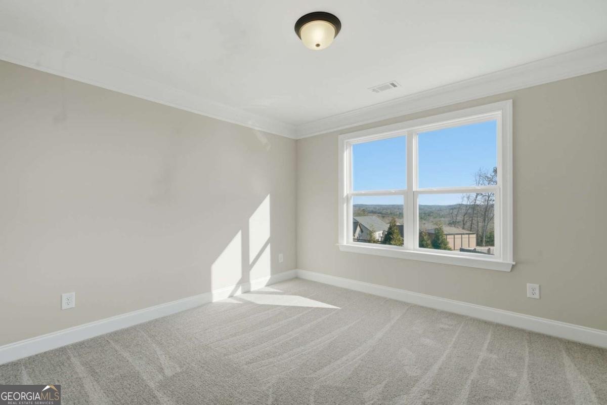 603 Madison Court Ball Ground - Photo 31