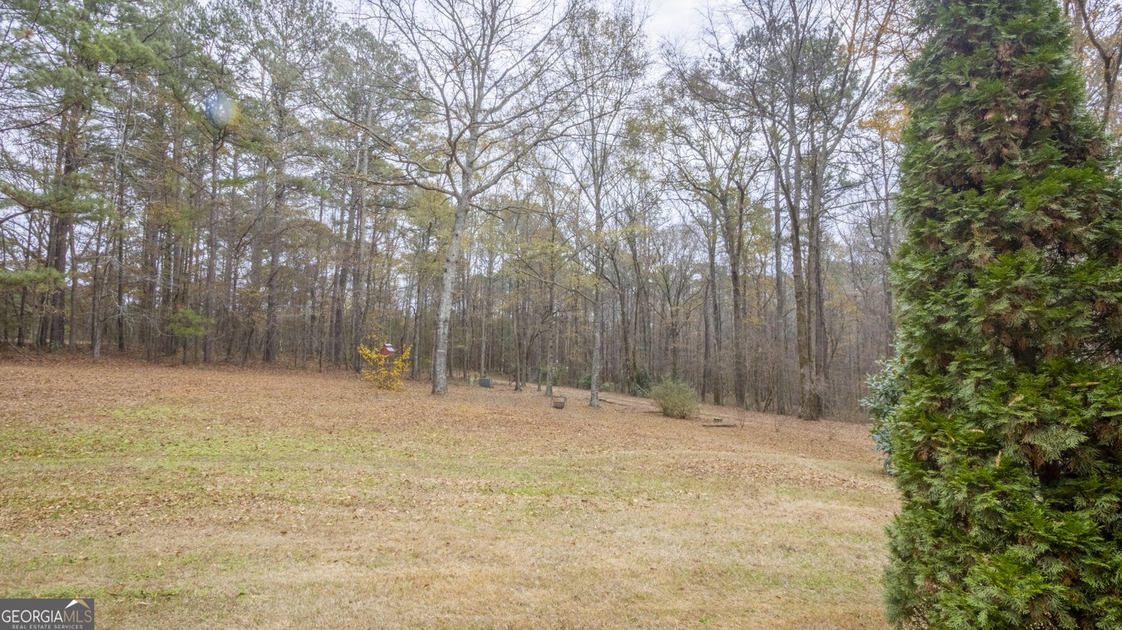 6290 Highway 54 Sharpsburg - Photo 80