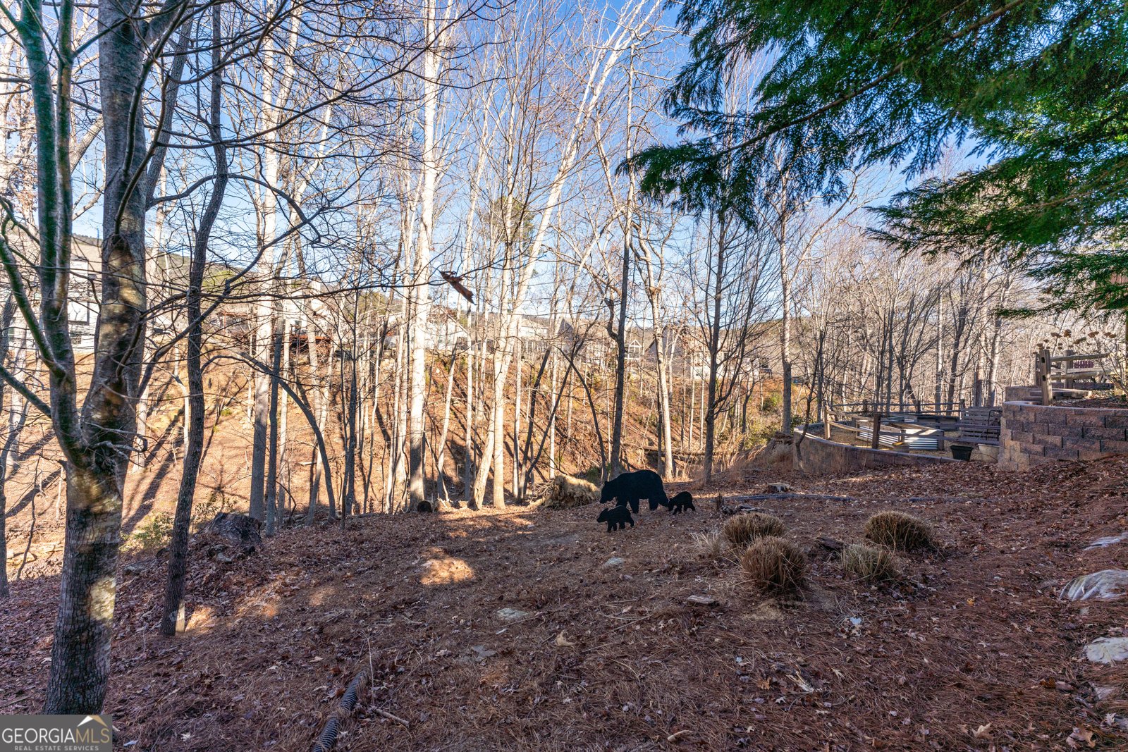 2017 Eagles Ridge Waleska - Photo 50