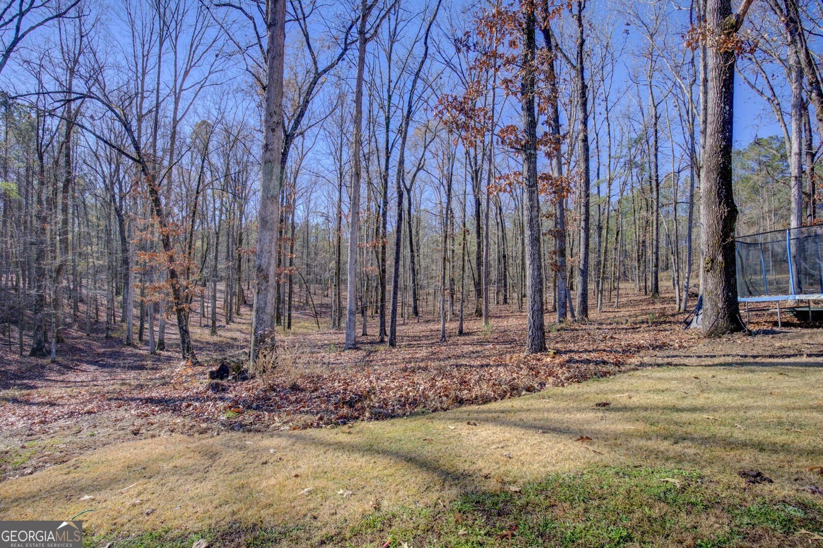 131 Woods Road Juliette - Photo 67