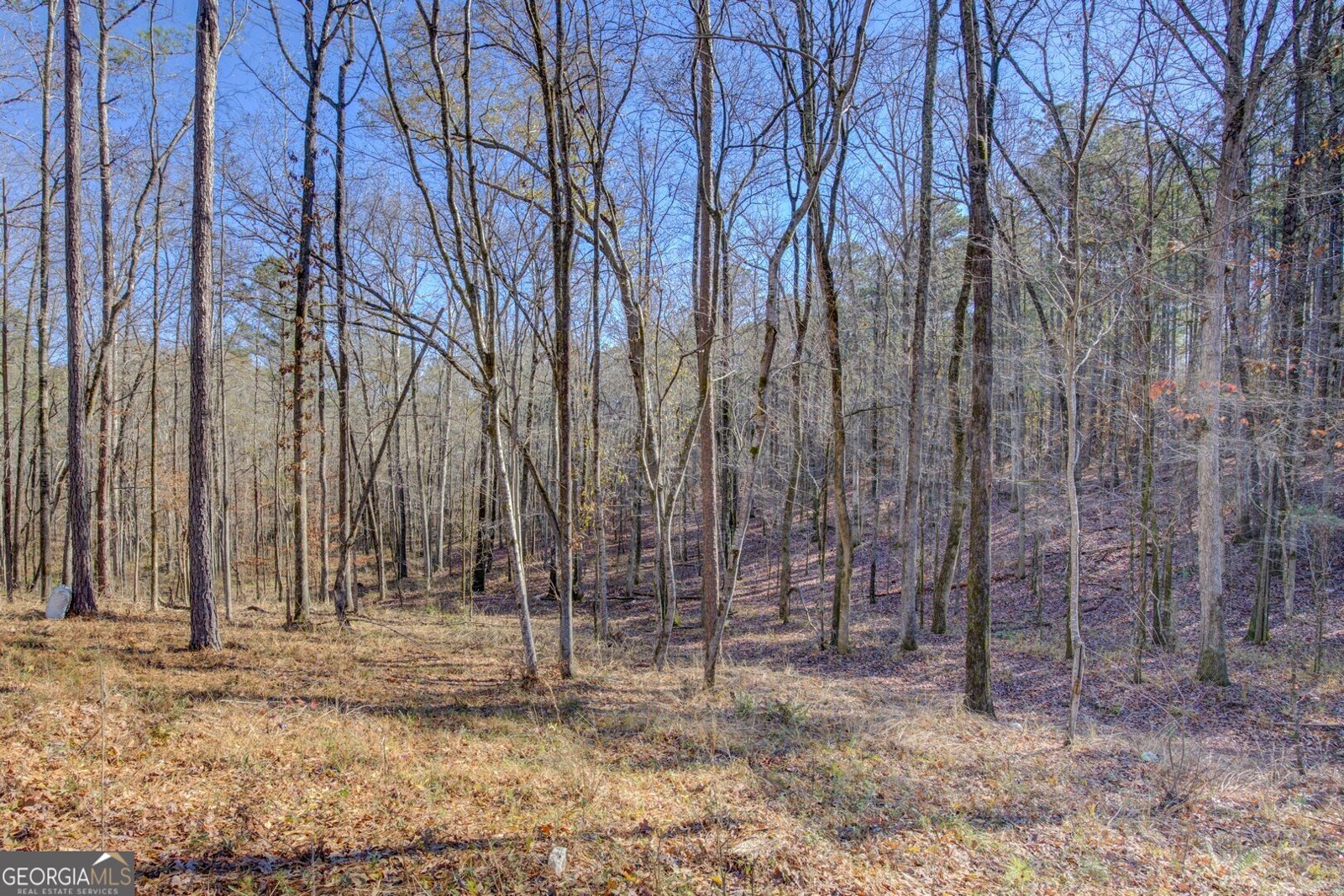 131 Woods Road Juliette - Photo 68