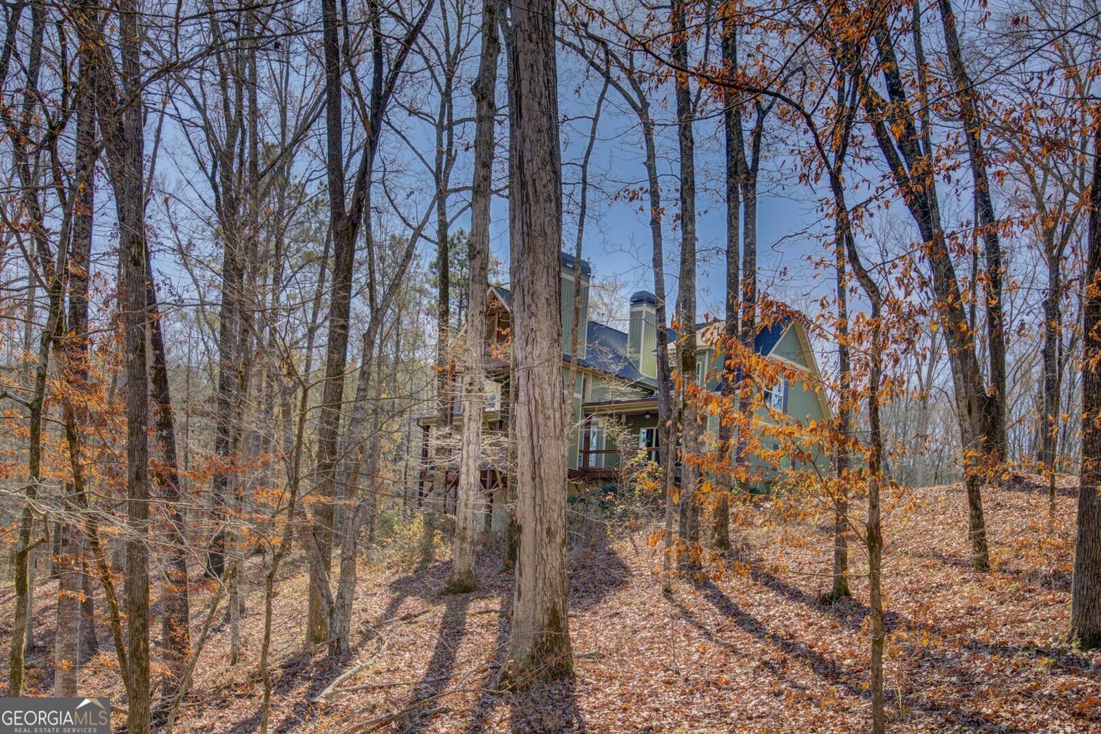 131 Woods Road Juliette - Photo 75