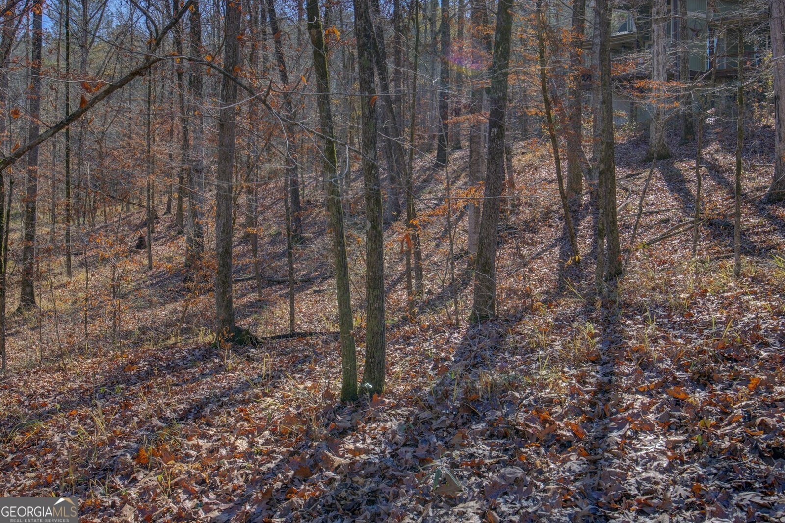 131 Woods Road Juliette - Photo 77