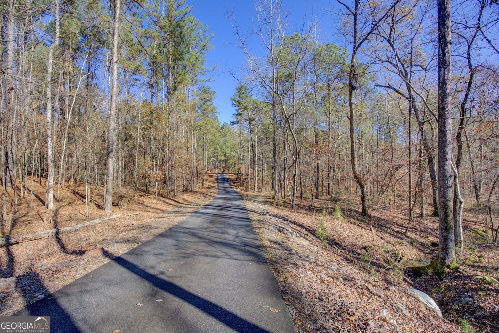 131 Woods Road Juliette - Photo 78