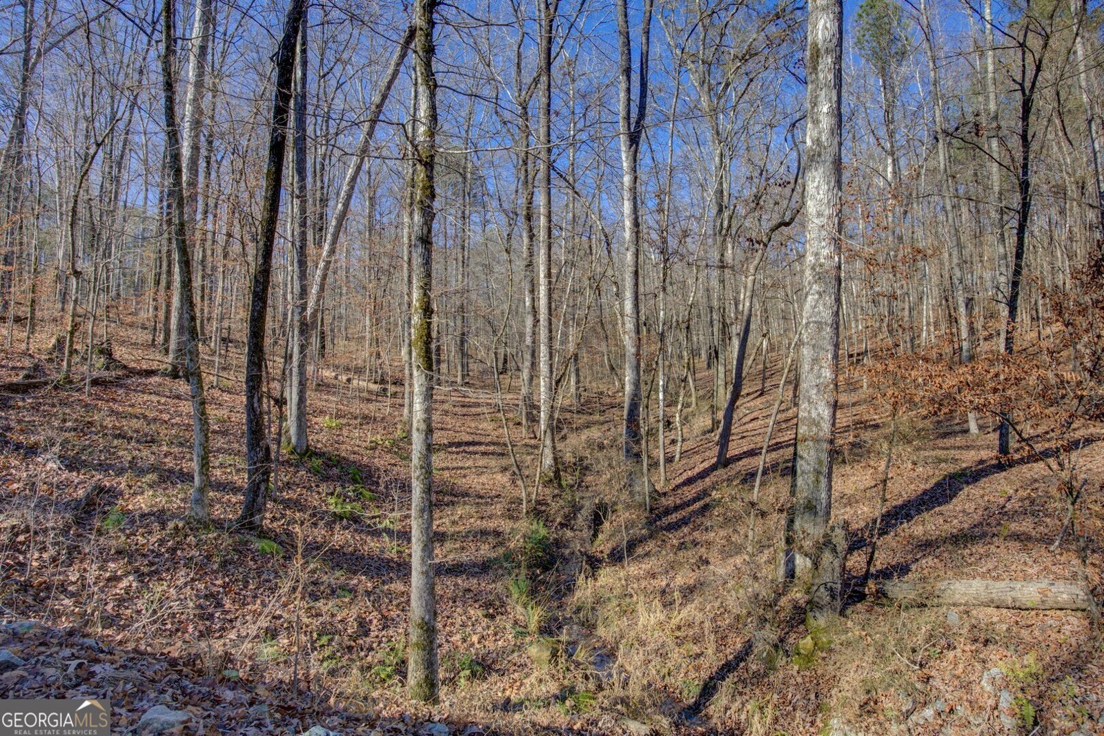 131 Woods Road Juliette - Photo 80