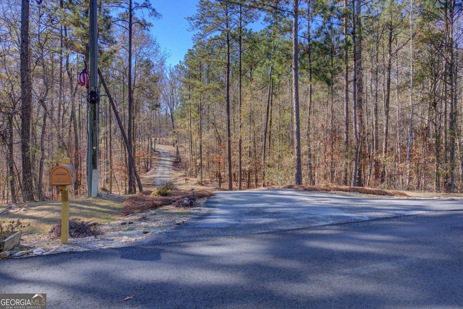 131 Woods Road Juliette - Photo 81