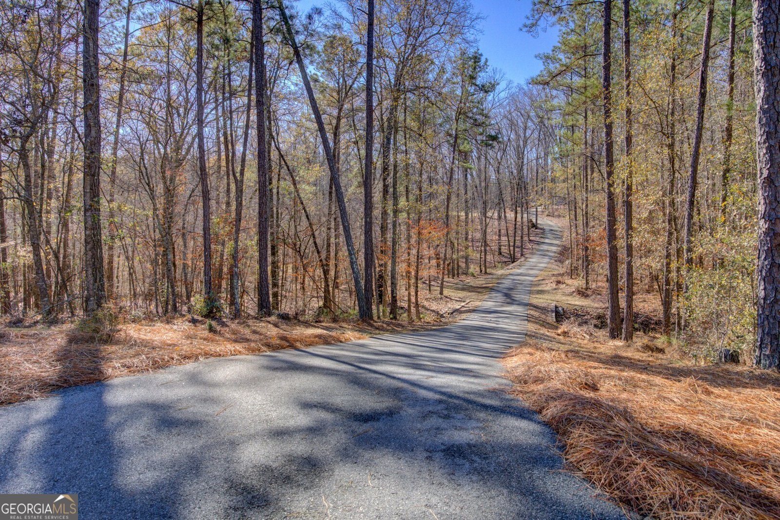 131 Woods Road Juliette - Photo 83