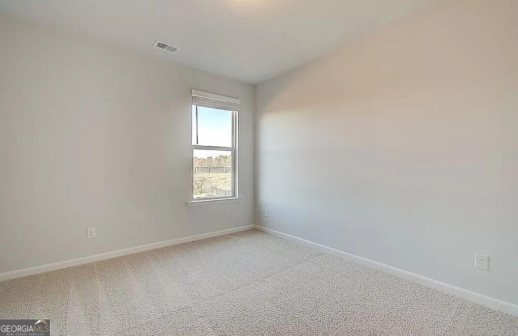 2934 Amabile Road Dacula - Photo 32