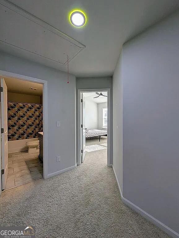 2934 Amabile Road Dacula - Photo 59