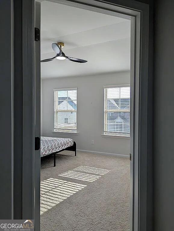 2934 Amabile Road Dacula - Photo 62