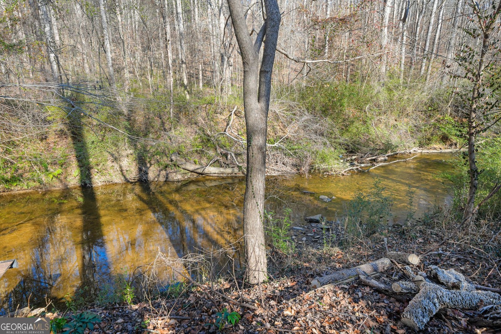 159 Castlebar Court Mableton - Photo 52