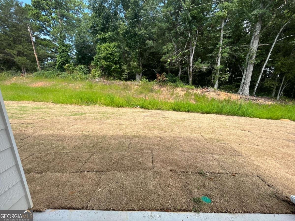 148 Marion Drive Cartersville - Photo 29