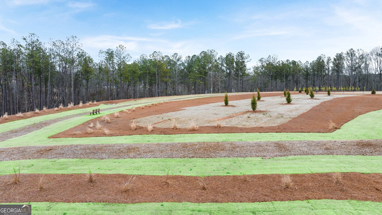 269 Sound Circle Stockbridge - Photo 43