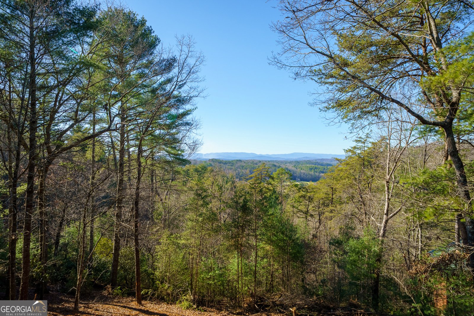 363 Crestview Drive Morganton - Photo 28