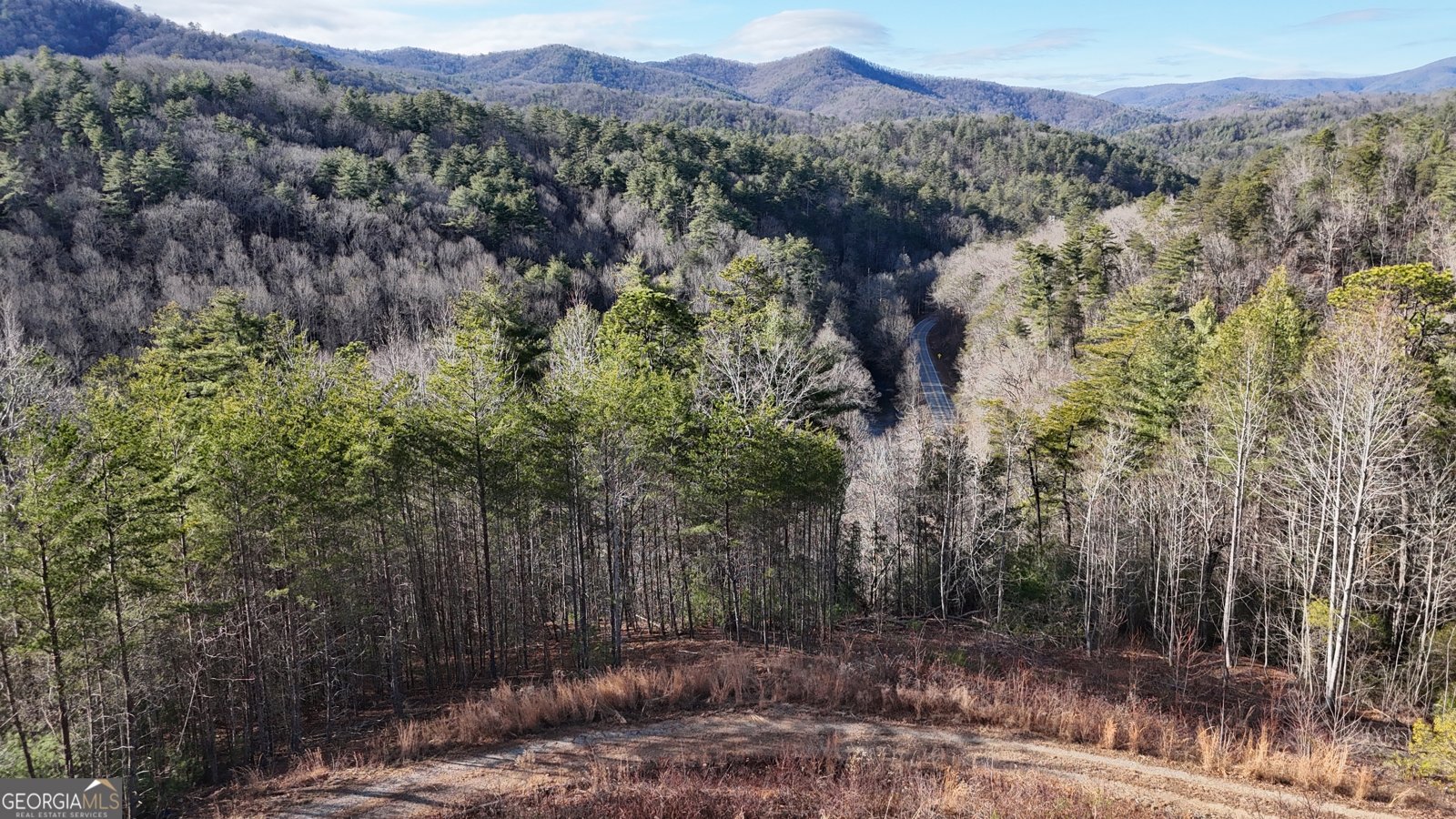 389 Wilderland Trail Helen - Photo 55