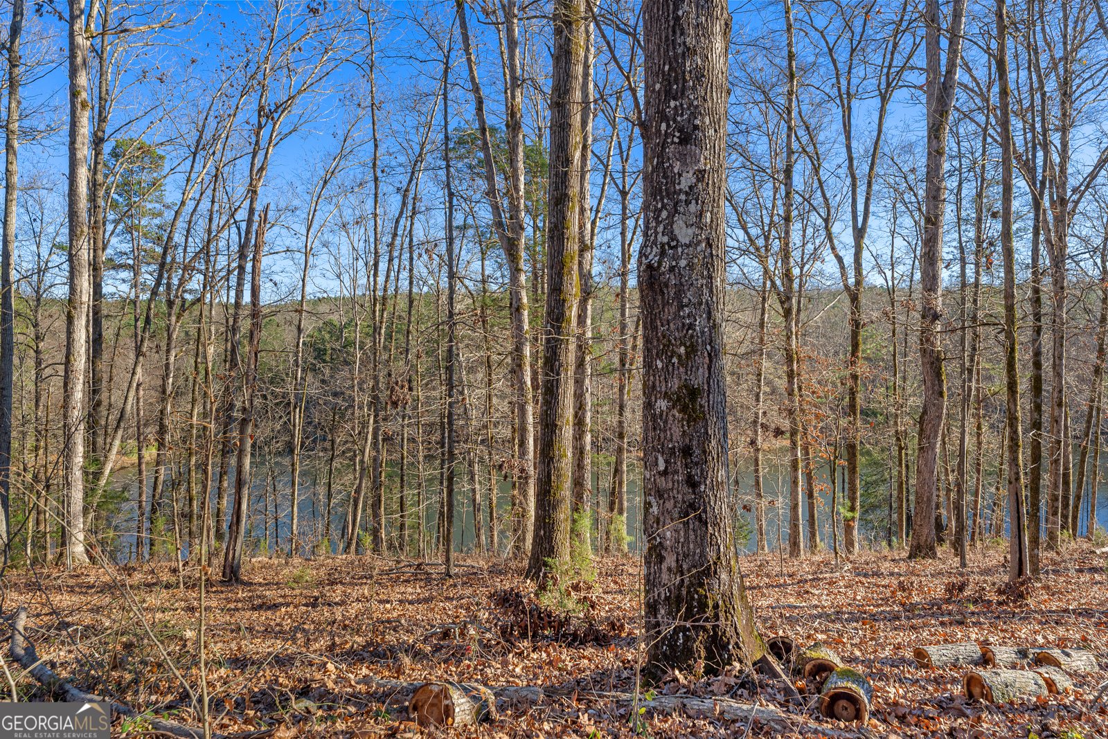 870 Bertha Willis Road Carlton - Photo 30