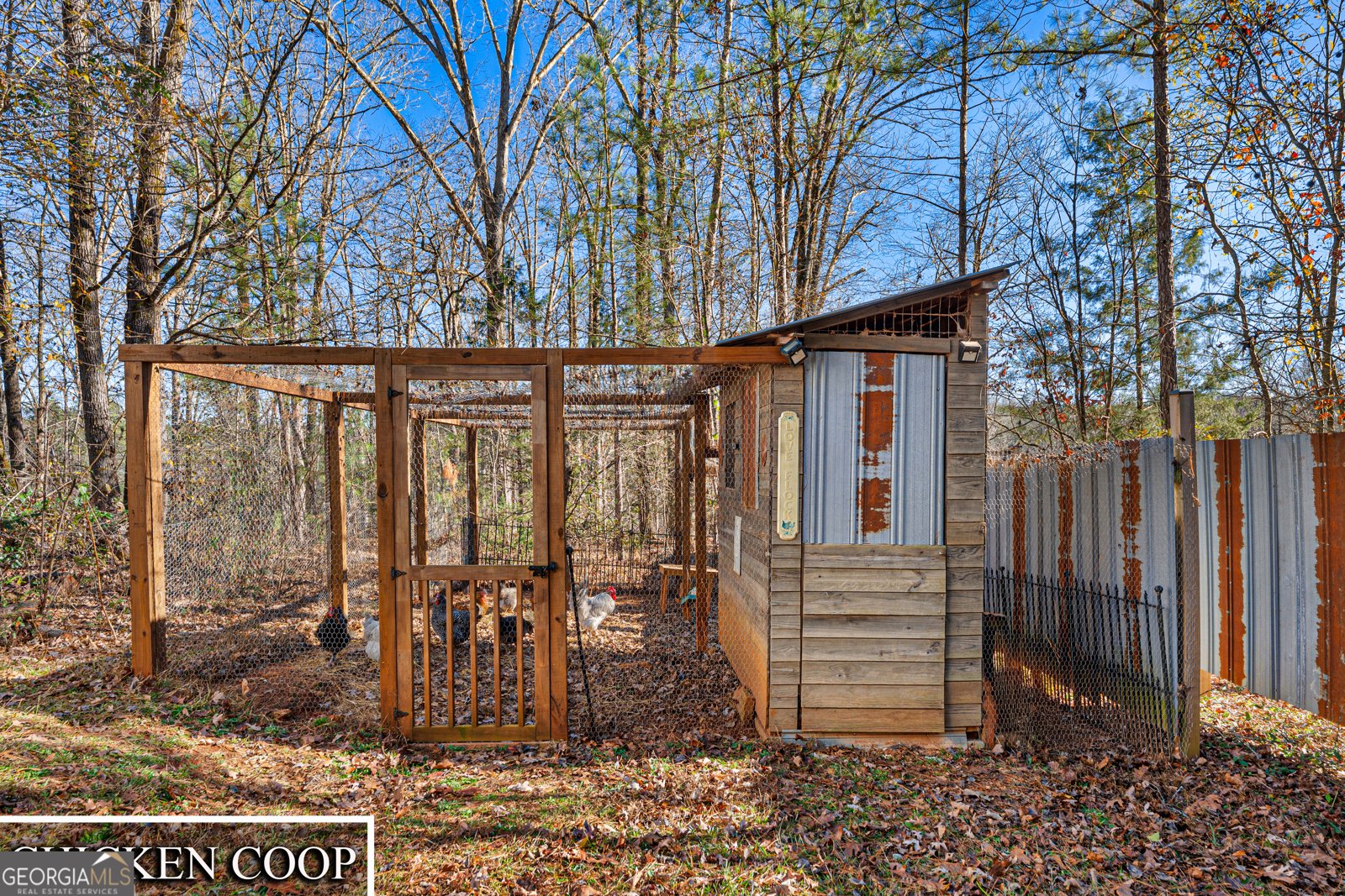 870 Bertha Willis Road Carlton - Photo 34