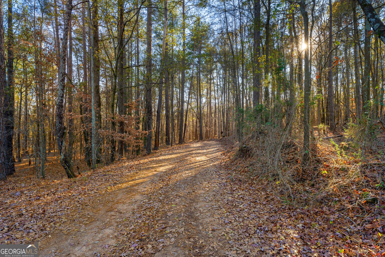 870 Bertha Willis Road Carlton - Photo 35