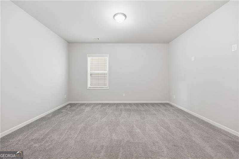 3244 Hawthorne Path Braselton - Photo 24