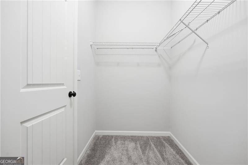 3244 Hawthorne Path Braselton - Photo 37