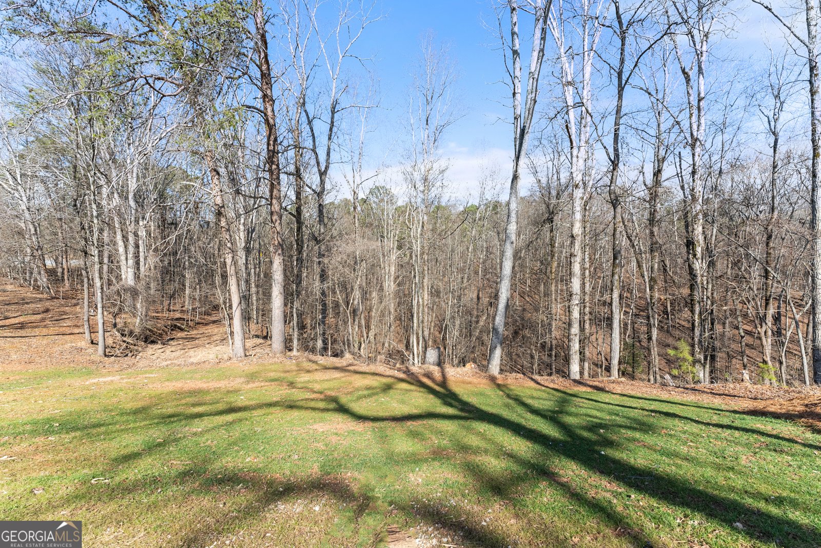 3425 Duckett Mill Road Gainesville - Photo 58