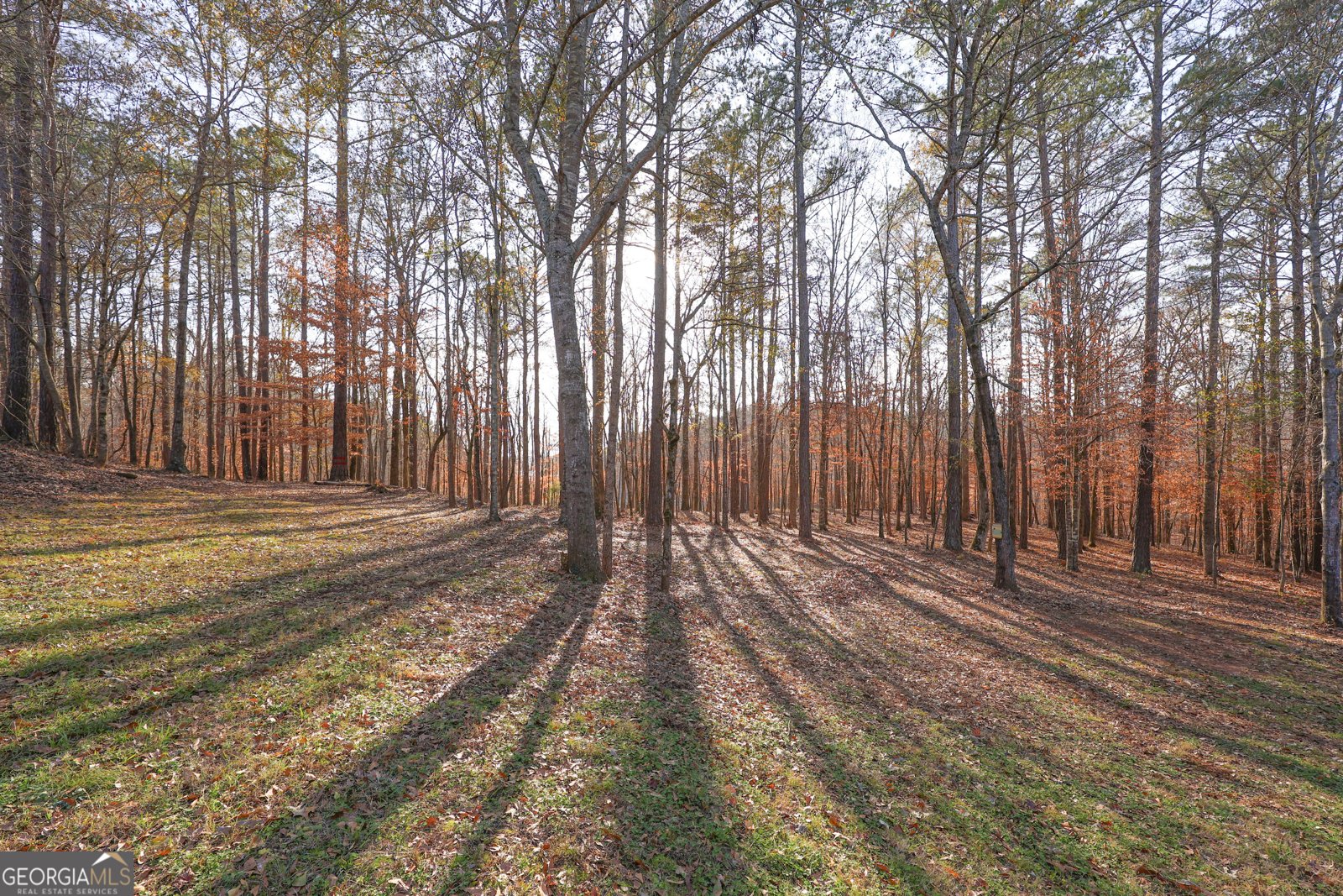 42 Deer Pointe Court Lagrange - Photo 50