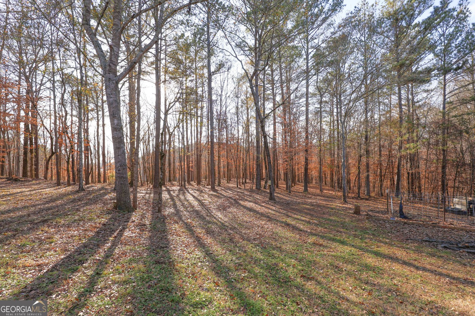 42 Deer Pointe Court Lagrange - Photo 51