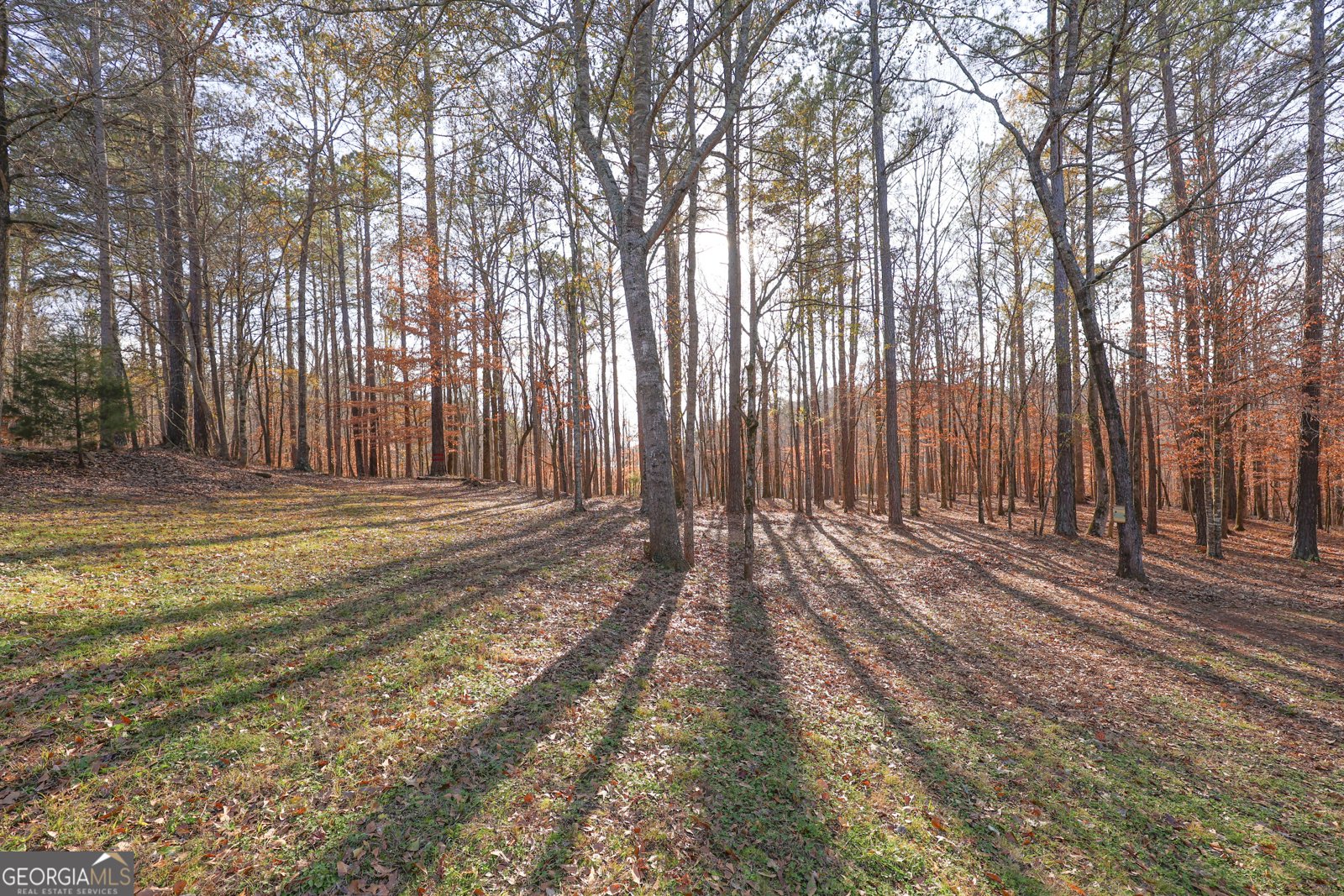 42 Deer Pointe Court Lagrange - Photo 52