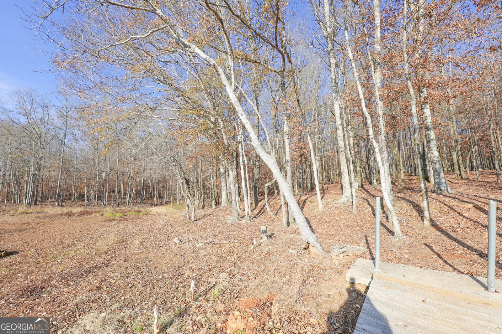 42 Deer Pointe Court Lagrange - Photo 59