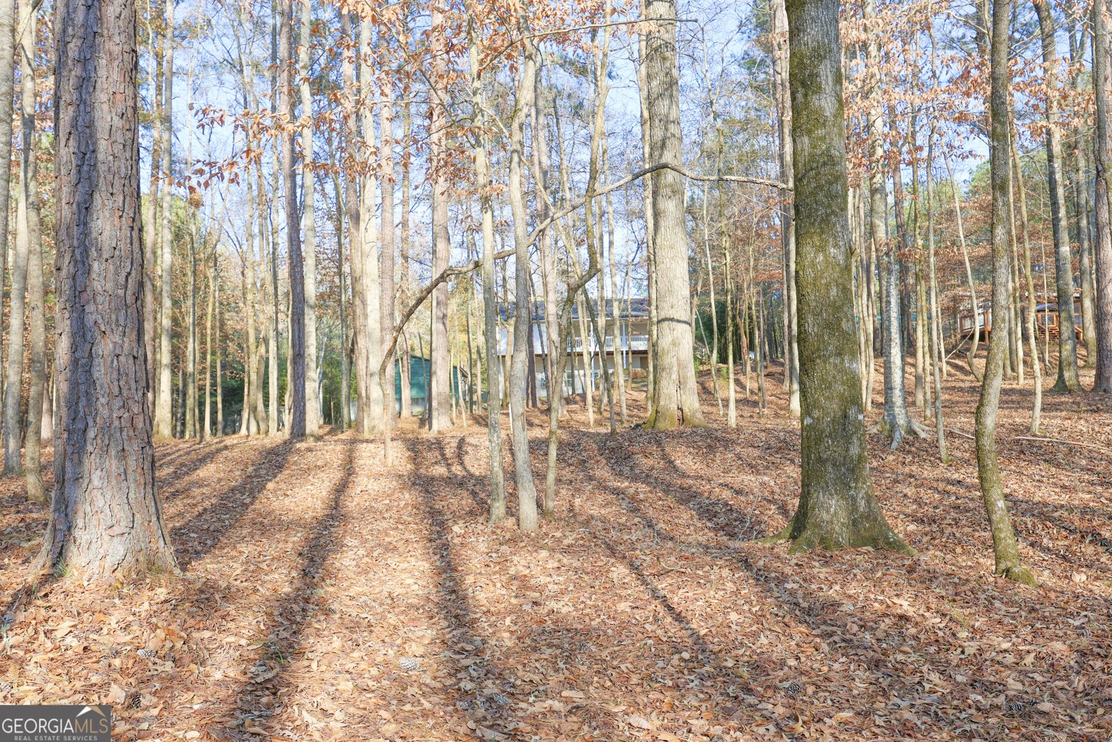 42 Deer Pointe Court Lagrange - Photo 60