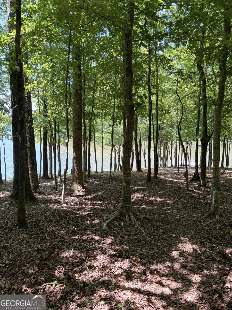 42 Deer Pointe Court Lagrange - Photo 66