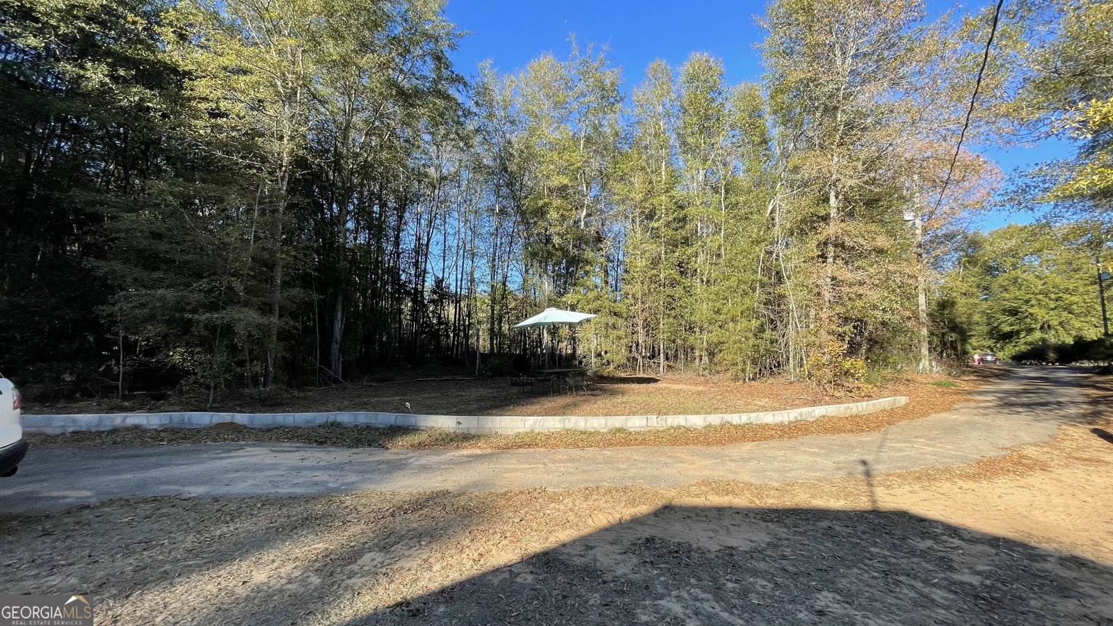 21 Ruby Road Hawkinsville - Photo 6