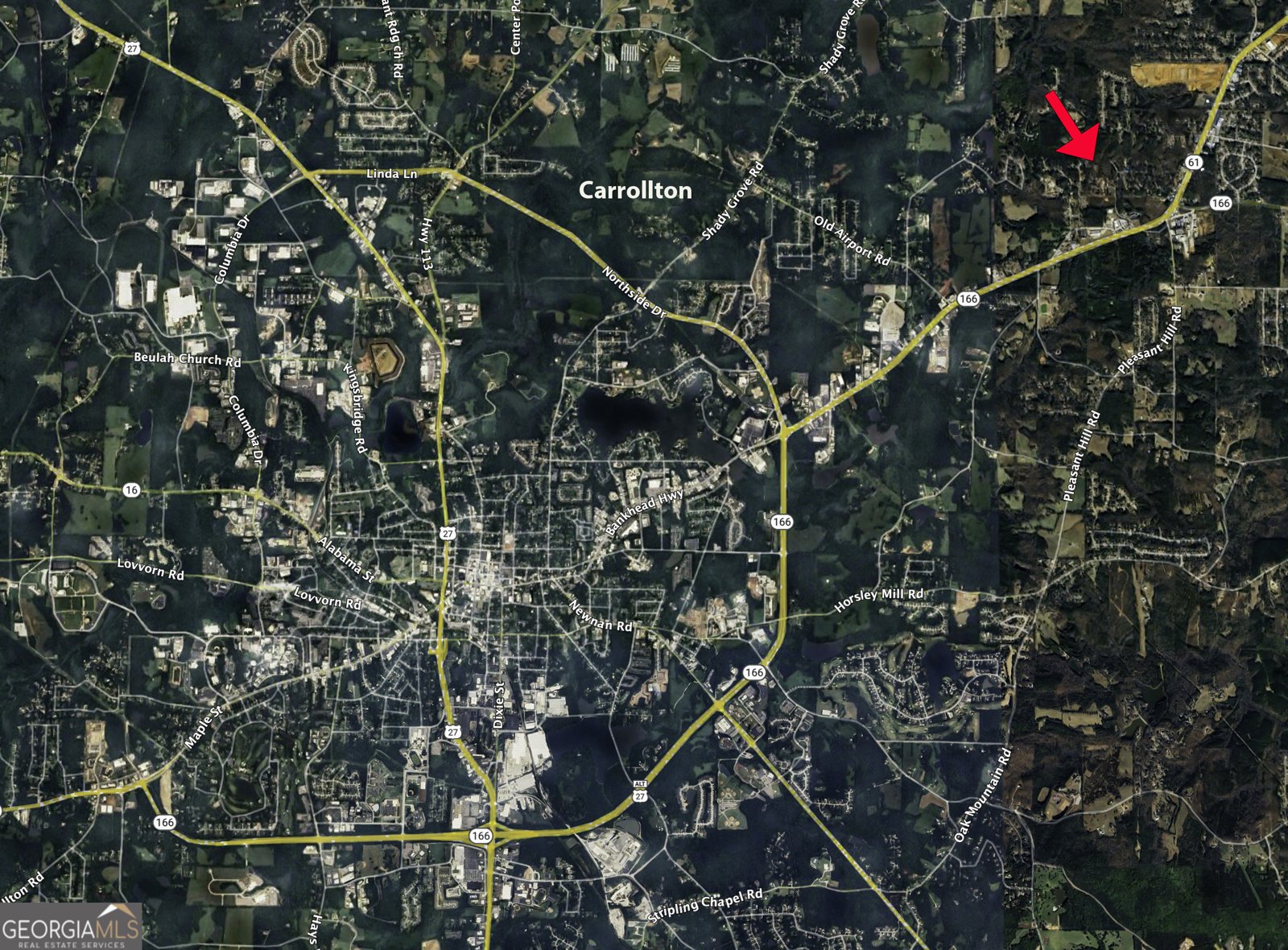 533 Tree Ridge Carrollton - Photo 50