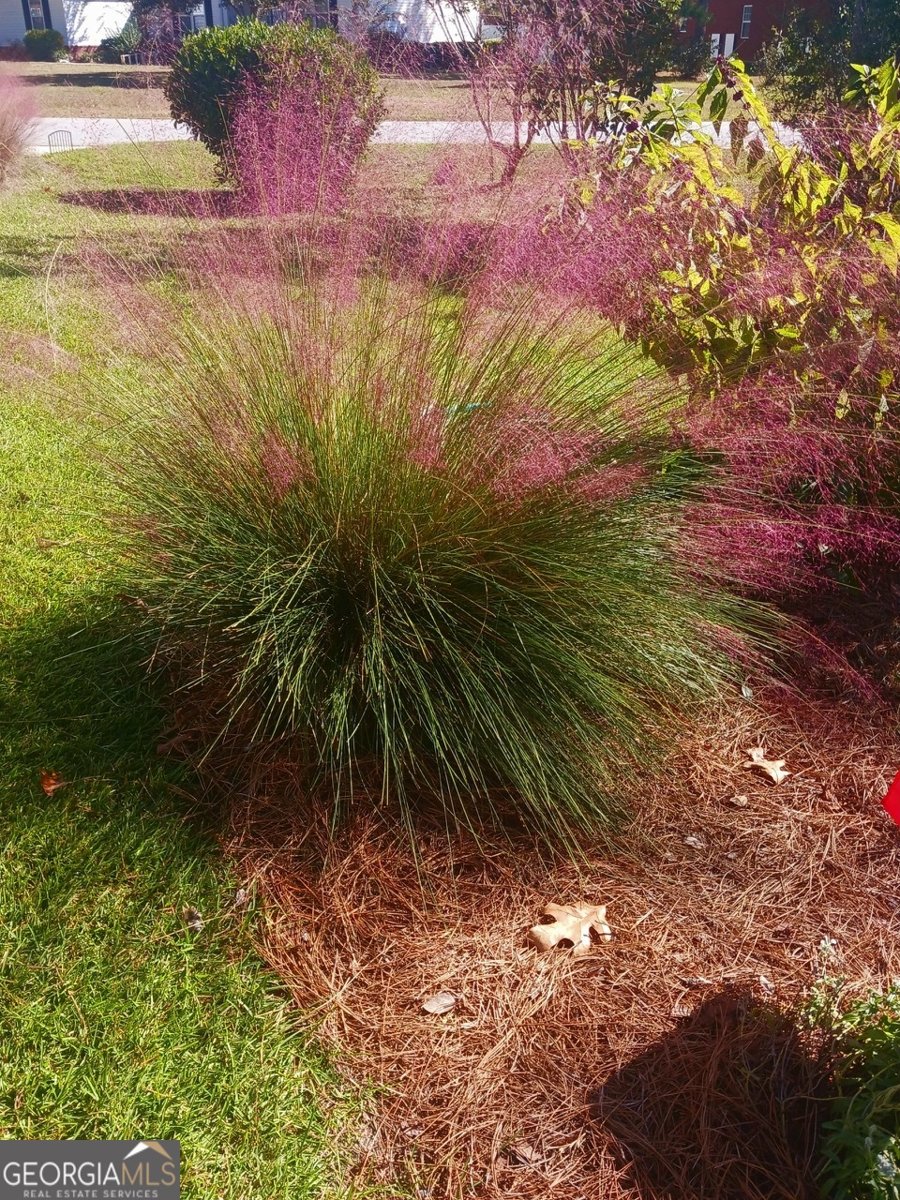 605 Patrick Way Statesboro - Photo 43