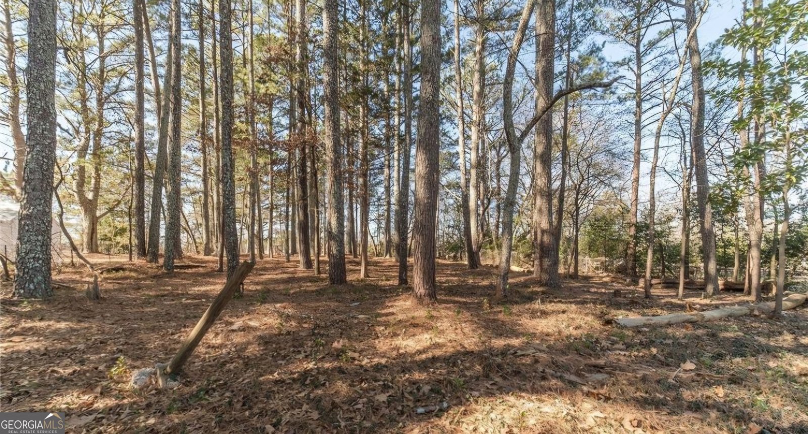 3760 Sunny Hill DR Loganville - Photo 26