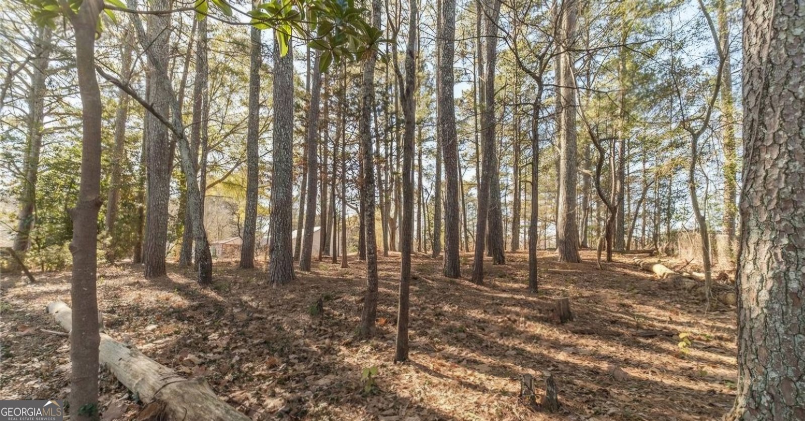 3760 Sunny Hill DR Loganville - Photo 29