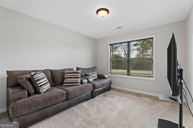 1511 NEW HOPE locust grove - Photo 15