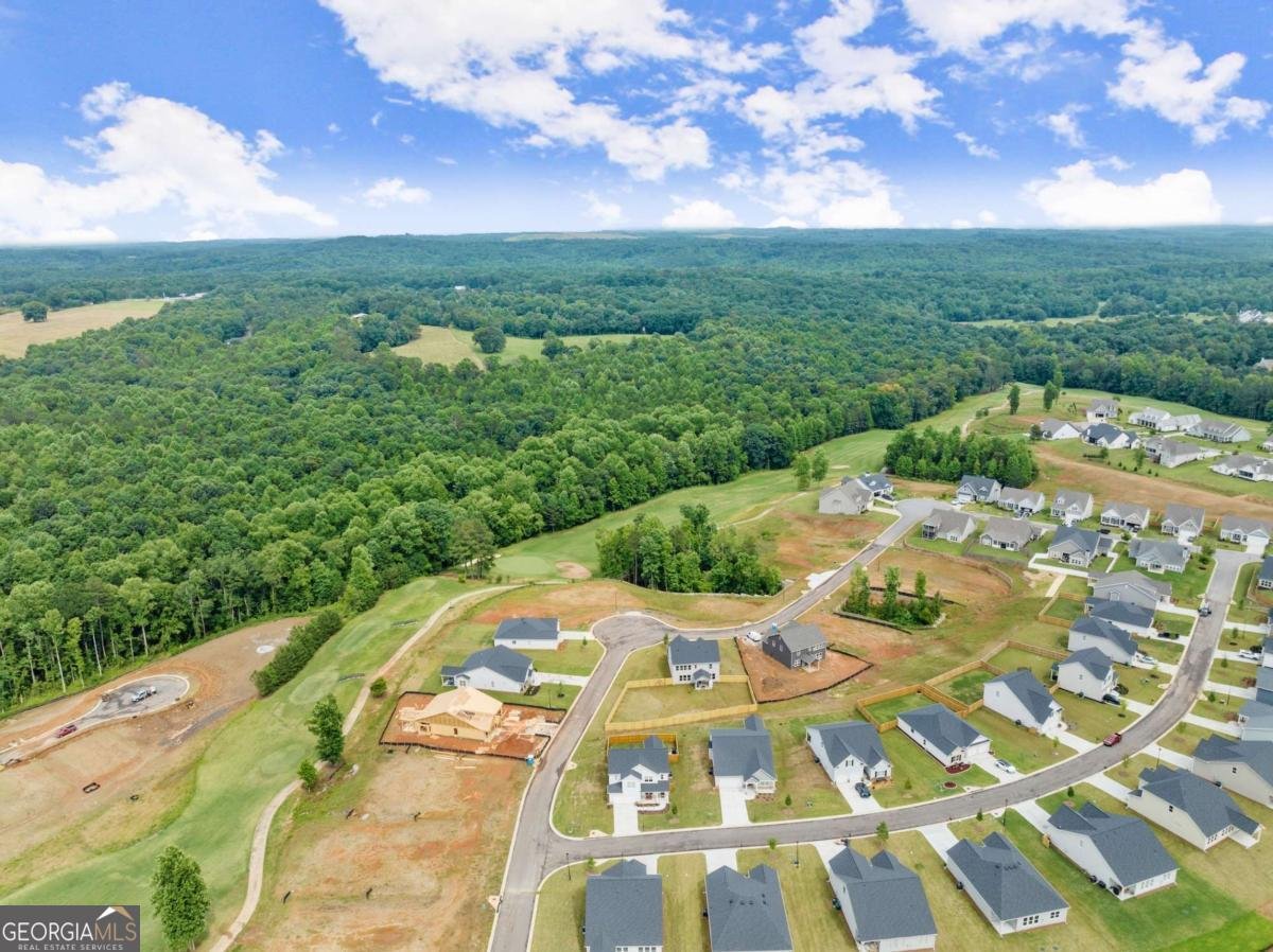 146 Muscadine Pass Homer - Photo 49