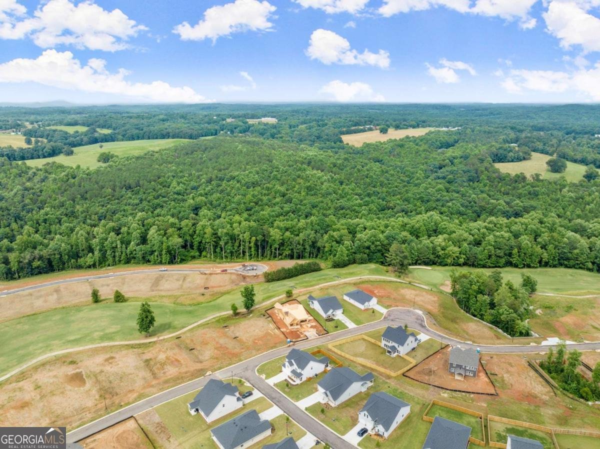 146 Muscadine Pass Homer - Photo 50