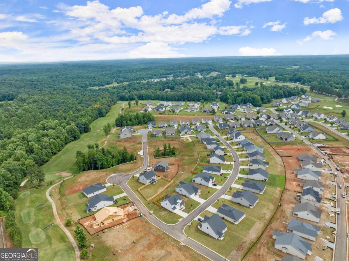 146 Muscadine Pass Homer - Photo 51